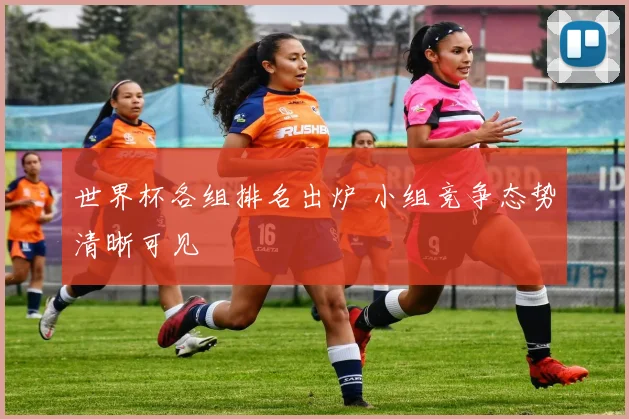 世界杯各组排名出炉 小组竞争态势清晰可见