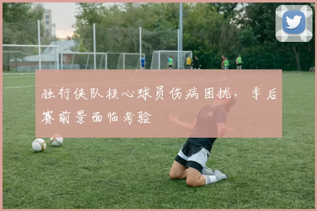 独行侠队核心球员伤病困扰，季后赛前景面临考验