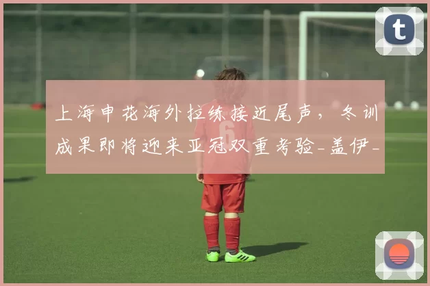 上海申花海外拉练接近尾声，冬训成果即将迎来亚冠双重考验_盖伊_进攻_比赛
