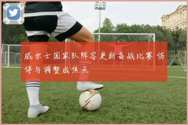 威尔士国家队阵容更新备战比赛 伤停与调整成焦点